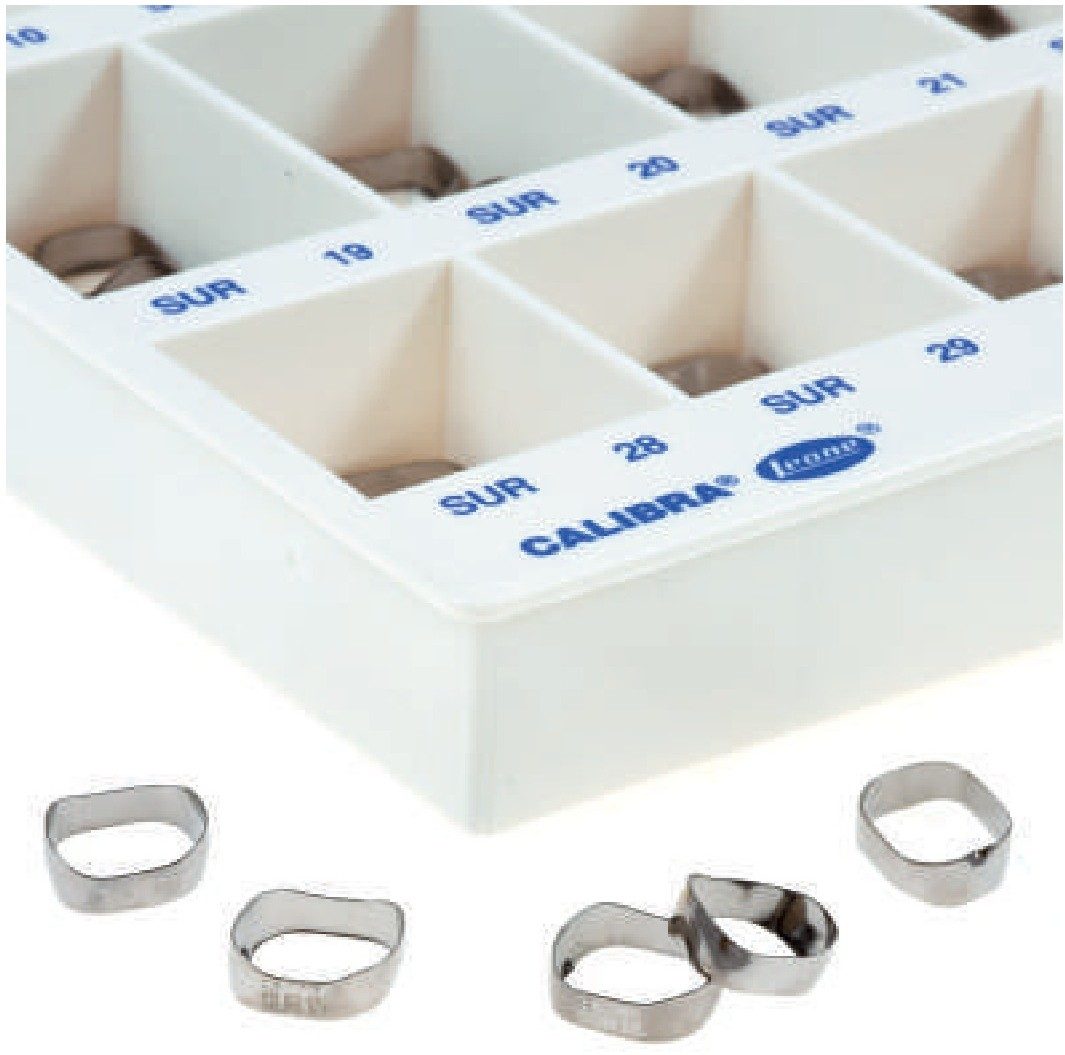 CALIBRA 2nd molar case, SUR compartment